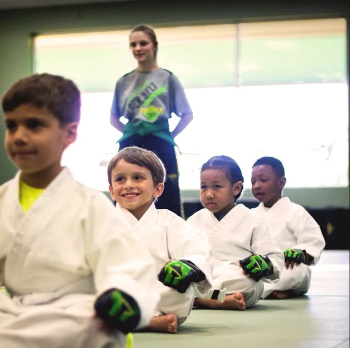 Premier Martial Arts - Shadow Creek - Pearland TX Picture 9