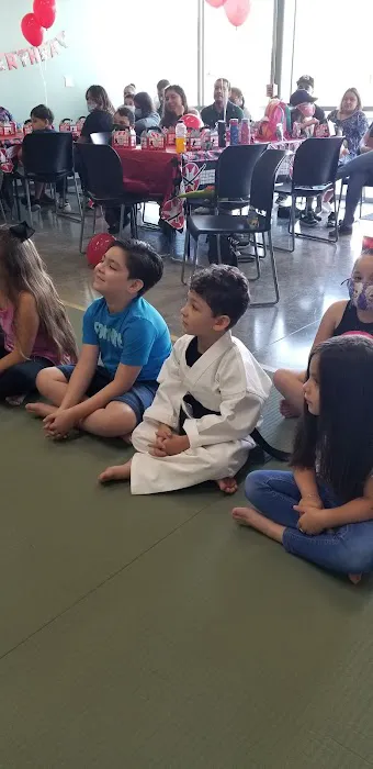 Premier Martial Arts - Shadow Creek - Pearland TX Picture 4
