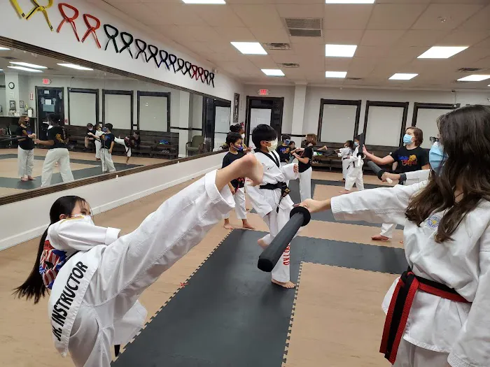Jungdo Taekwondo(Shadow Creek Pearland) Picture 1