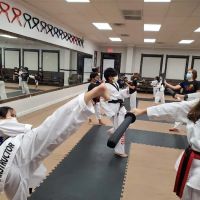 Jungdo Taekwondo(Shadow Creek Pearland) ico