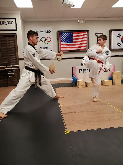Jungdo Taekwondo(Shadow Creek Pearland) Picture 8