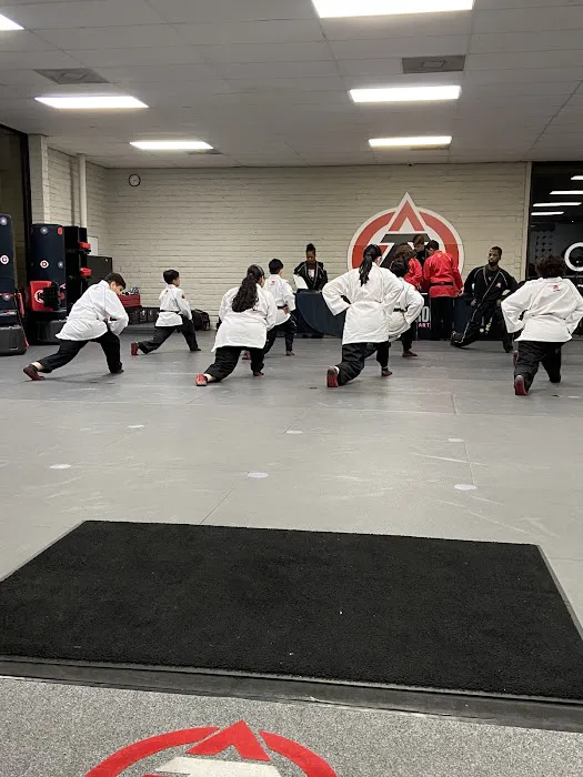 Tiger-Rock Martial Arts of Houston Picture 6