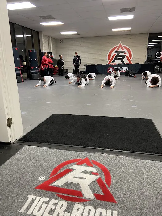 Tiger-Rock Martial Arts of Houston Picture 7
