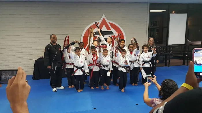 Tiger-Rock Martial Arts of Houston Picture 4