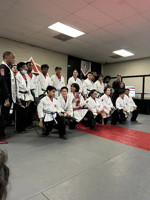 Tiger-Rock Martial Arts of Houston Picture 5