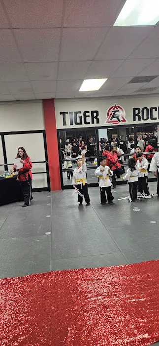 Tiger-Rock Martial Arts of Houston Picture 9
