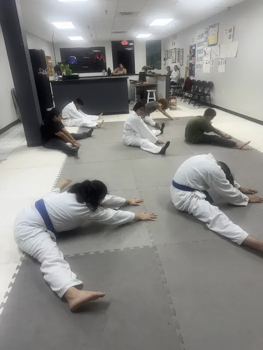 Podium TKD Picture 3