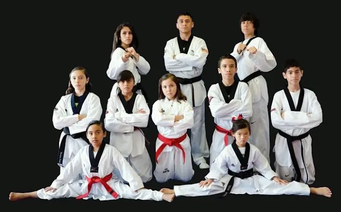 Podium TKD Picture 2