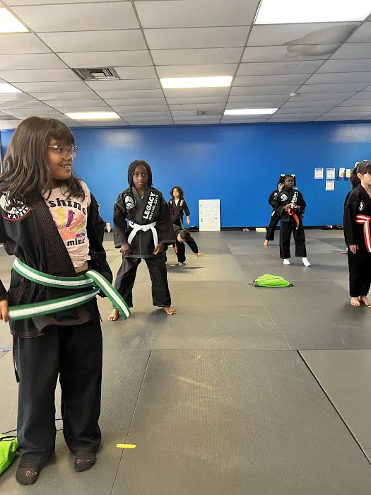 Legacy Martial Arts & Fitness Picture 4