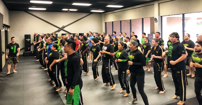 Premier Martial Arts Pearland Picture 2