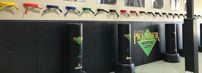 Premier Martial Arts Pearland Picture 7
