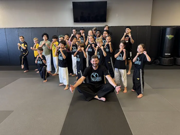 Premier Martial Arts Pearland Picture 5