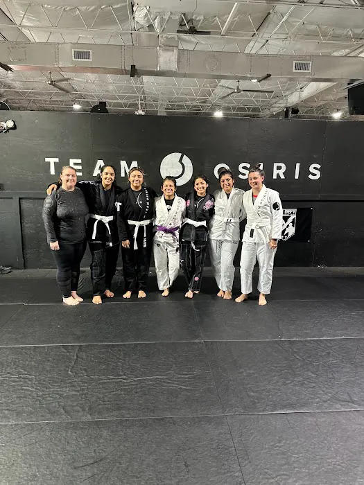 Team Osiris Martial Arts Picture 8