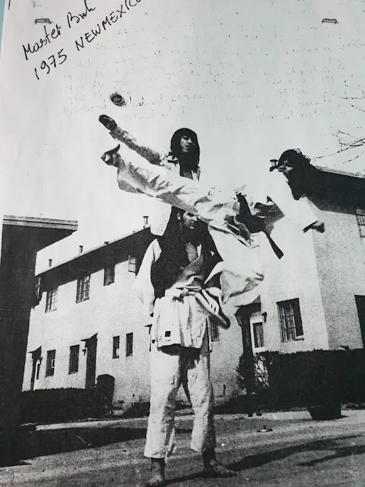 School of Martial Arts Picture 10