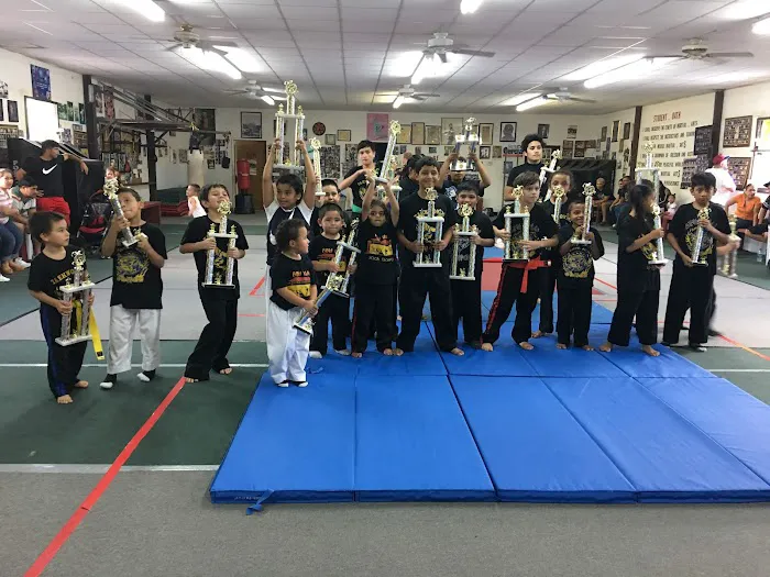 School of Martial Arts Picture 7