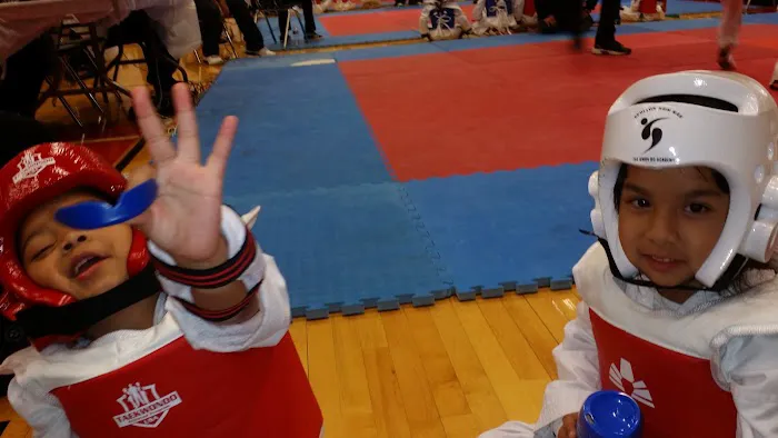 Taekwondo Athletes Program Coaching and Training USA Picture 10