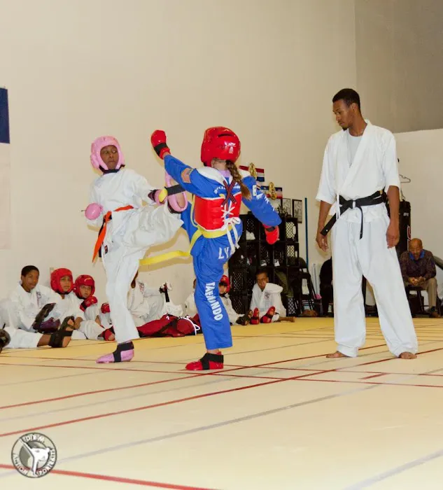 Taekwondo Athletes Program Coaching and Training USA Picture 5