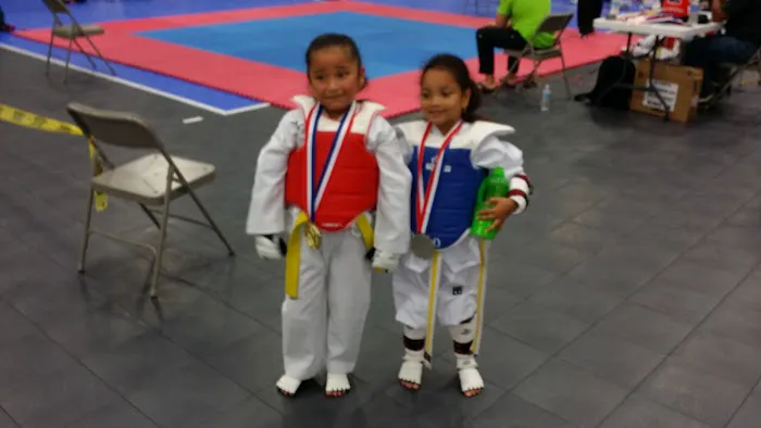Taekwondo Athletes Program Coaching and Training USA Picture 7
