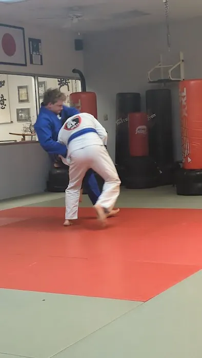 Houston Karate Academy Picture 2