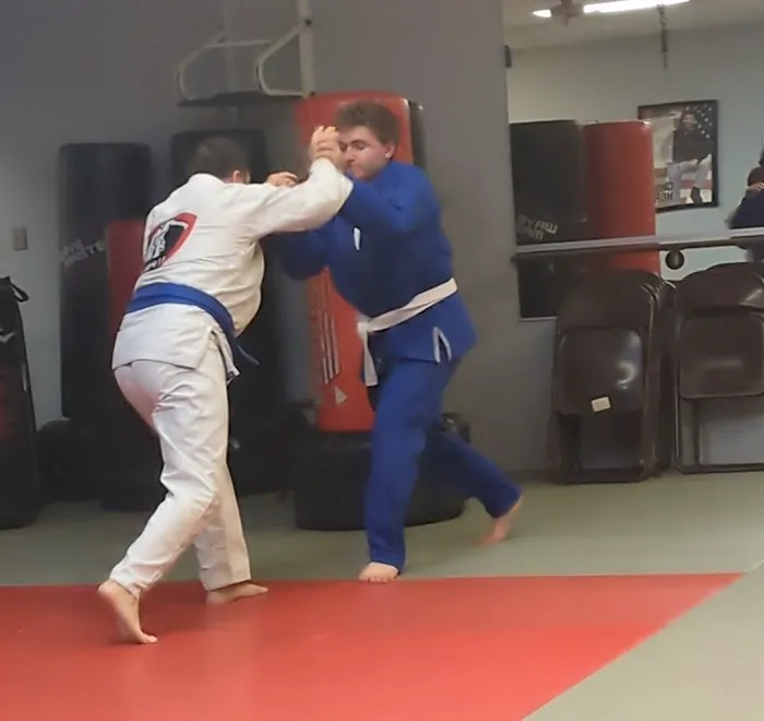 Houston Karate Academy Picture 1