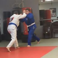 Houston Karate Academy ico