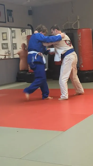 Houston Karate Academy Picture 4