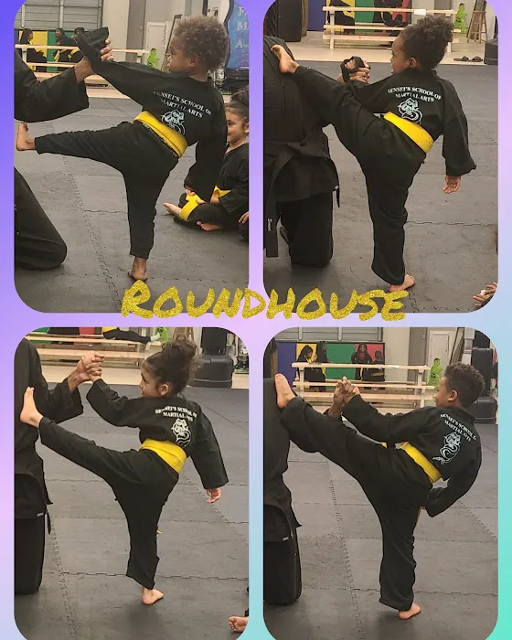 Sensei's School of Martial Arts Picture 6