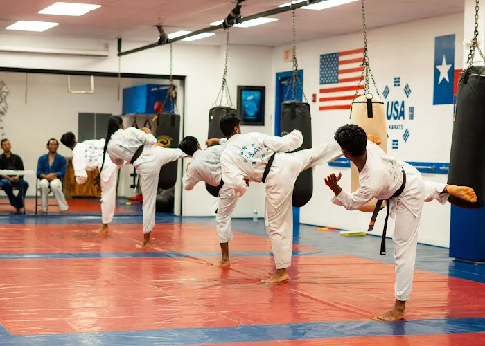 USA Karate Picture 7