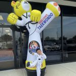 Tiger J Kim's World Class Taekwondo 3