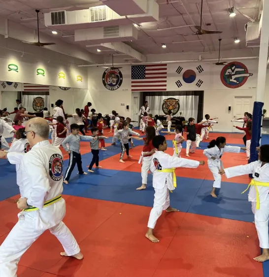 Tiger J Kim's World Class Taekwondo 3 Picture 10