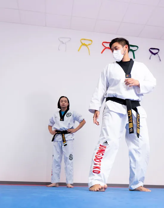 Jungdo Taekwondo Academy Picture 3