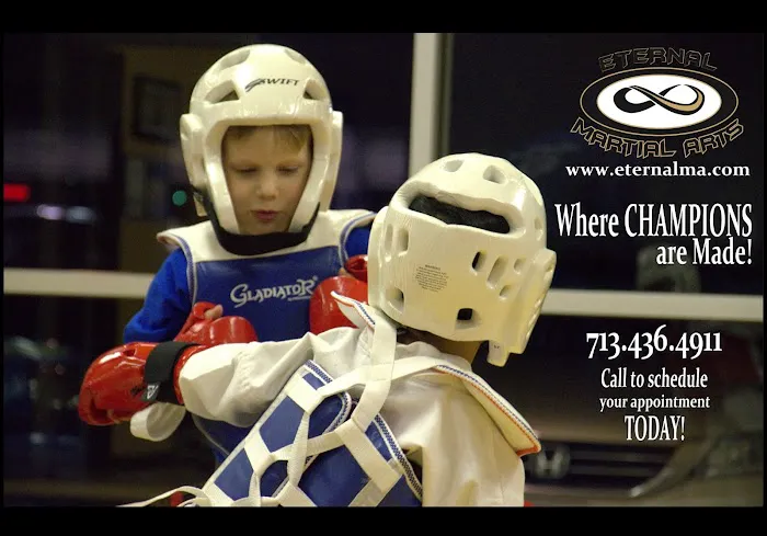 Eternal Martial Arts-Pearland Picture 7