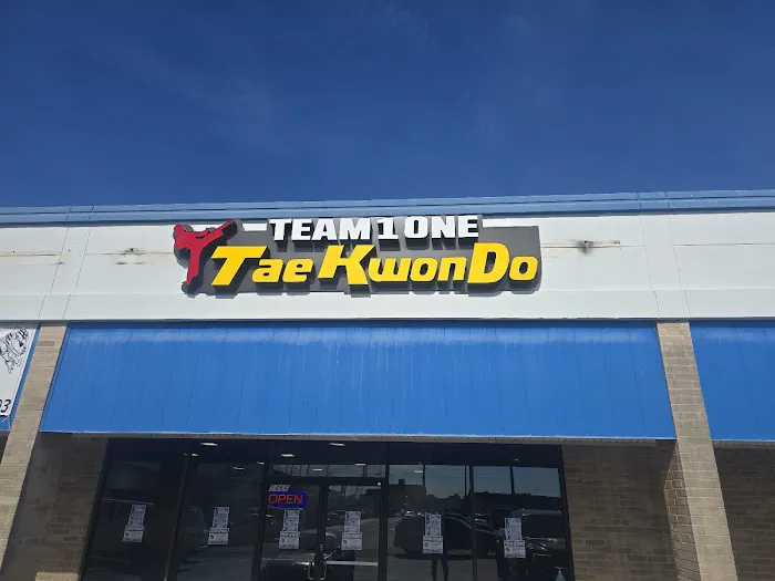 TeamOne TaeKwonDo Memorial Picture 8
