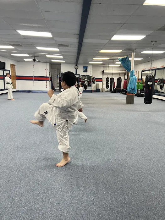 Soo Bahk Do Moo Duk Kwan Houst Picture 9