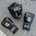 Iron Dragon Martial Arts