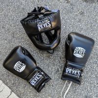 Iron Dragon Martial Arts ico