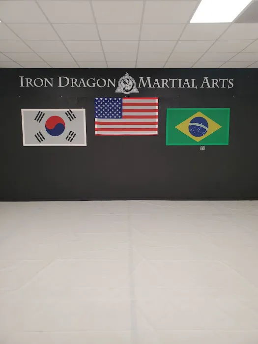 Iron Dragon Martial Arts Picture 4