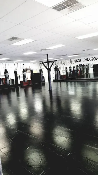 Iron Dragon Martial Arts Picture 10