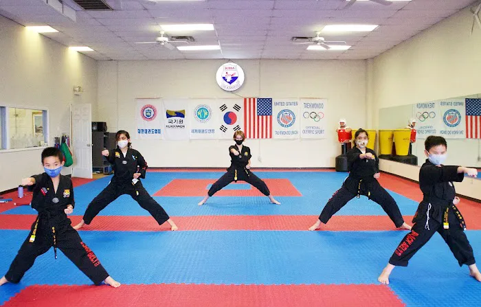 KMA TaeKwonDo Houston Picture 6