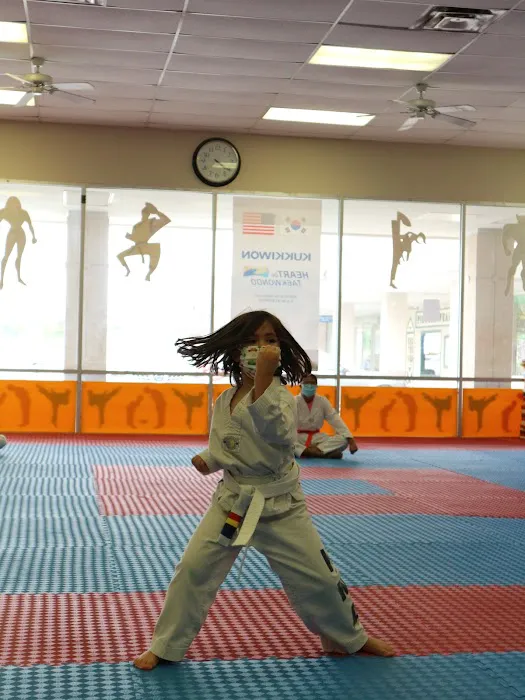 KMA TaeKwonDo Houston Picture 10