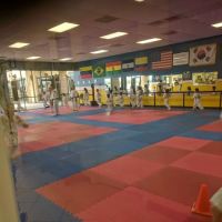 Jim's Tae Kwon DO ico