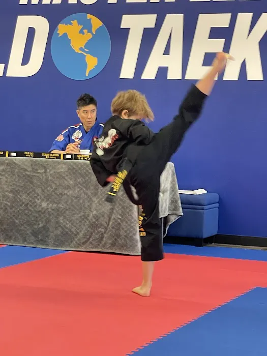 Master Lee's World TaeKwonDo Picture 5