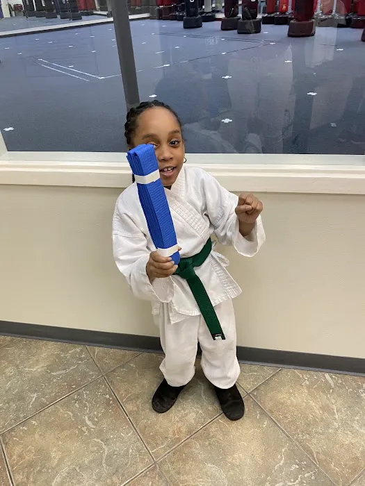 Cho's Taekwondo Westheimer- West Houston Picture 3