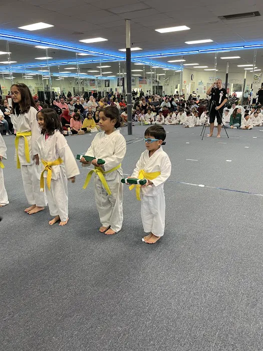 Cho's Taekwondo Westheimer- West Houston Picture 4