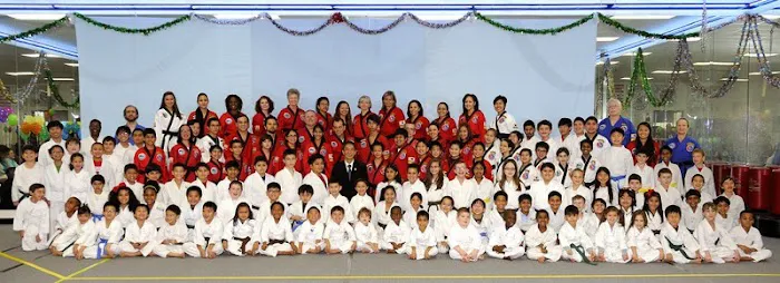 Cho's Taekwondo Westheimer- West Houston Picture 8
