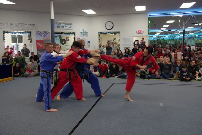 Cho's Taekwondo Westheimer- West Houston Picture 10