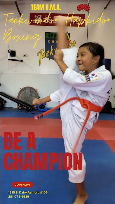 Team U. M. A. Choi's Tae Kwon Do, Hap Ki Do & Boxing Gym Picture 8