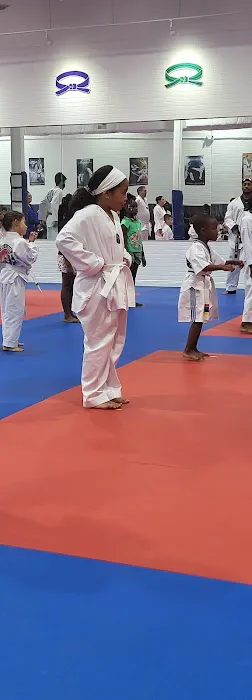 Tiger J Kim's World Class Taekwondo 1 Picture 4