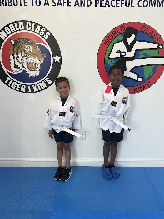 Tiger J Kim's World Class Taekwondo 1 Picture 5