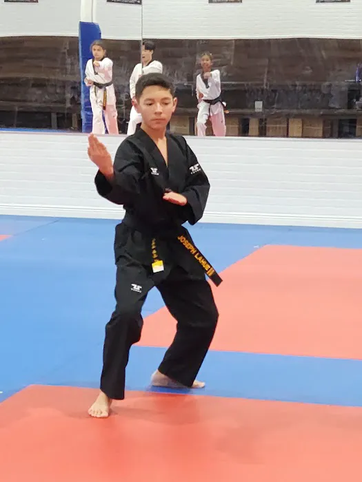 Tiger J Kim's World Class Taekwondo 1 Picture 10